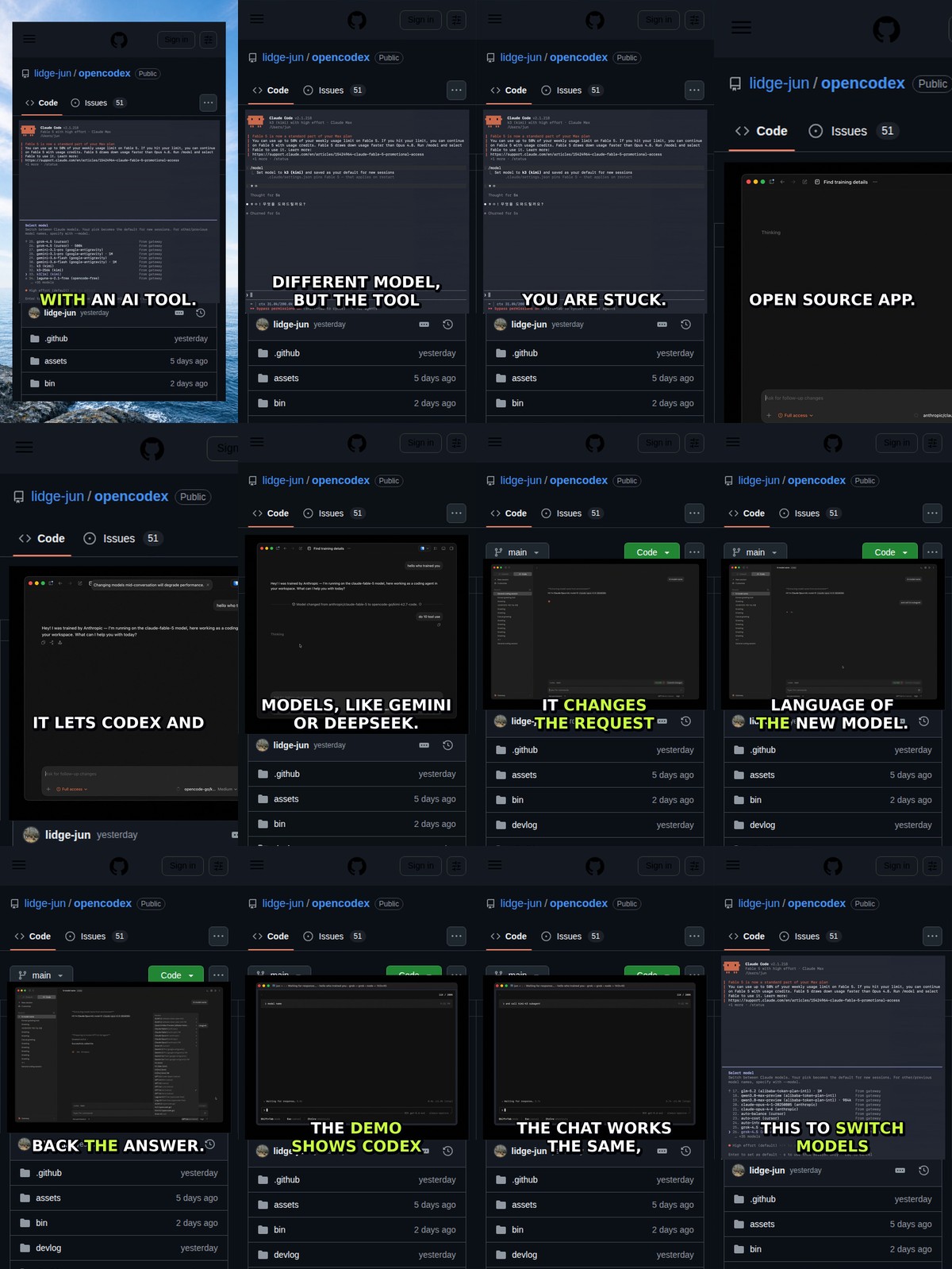 Use Any AI Model with Codex
